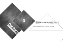 图森Bauhaus衣柜系列培训PPT
